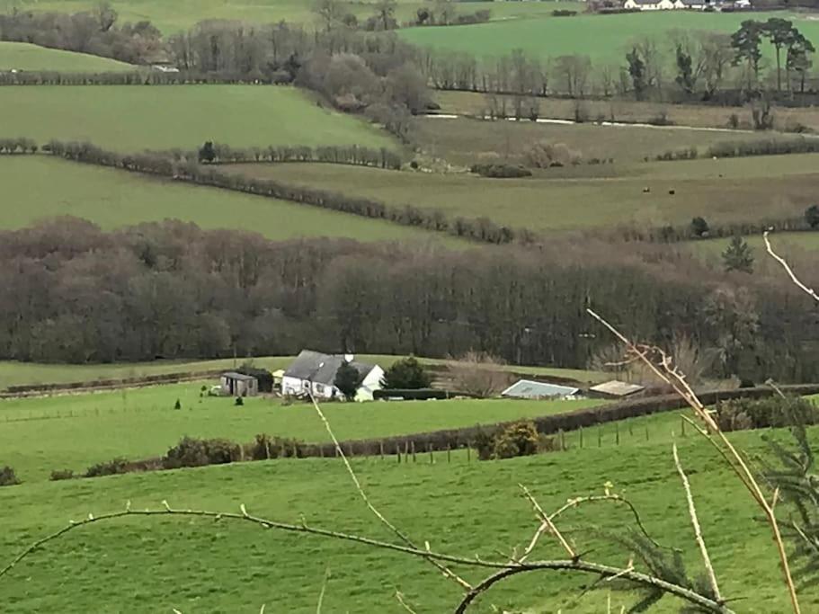Stunning Shepherds Hut Rural Bliss دومفريس المظهر الخارجي الصورة