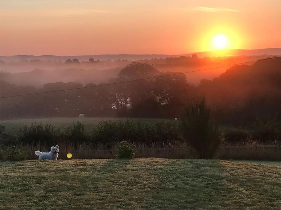Stunning Shepherds Hut Rural Bliss دومفريس المظهر الخارجي الصورة