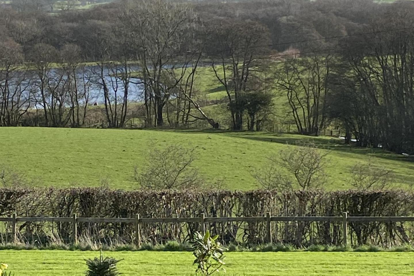 Stunning Shepherds Hut Rural Bliss دومفريس المظهر الخارجي الصورة